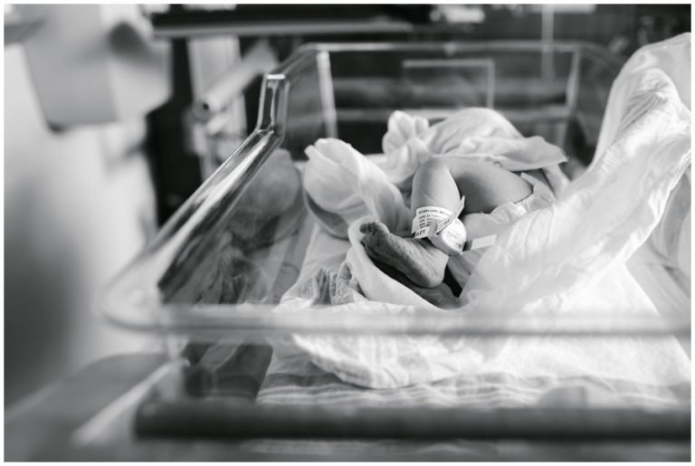 Milwaukee Newborn Photographer